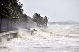 Chuyên gia dự báo, bão Ragasa có khả năng vượt cường độ so với bão Yagi