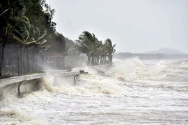 Chuyên gia dự báo, bão Ragasa có khả năng vượt cường độ so với bão Yagi