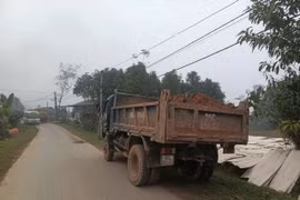 Xử phạt 2 trường hợp vận chuyển đất không che chắn, gây ô nhiễm môi trường