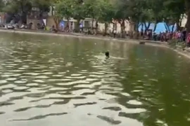 Xác minh vụ cô gái không mặc quần áo, đuối nước, tử vong ở hồ Hoàn Kiếm