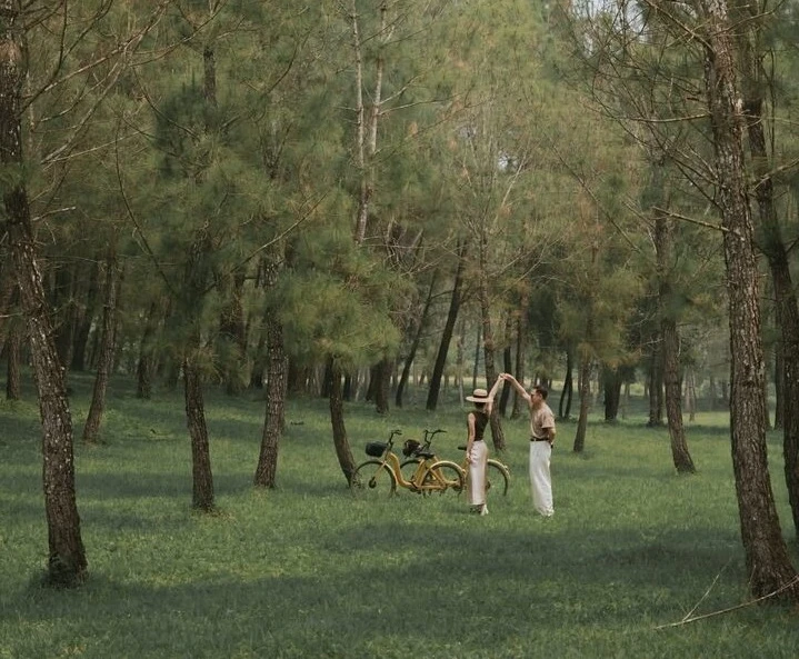 Lạc bước giữa rừng thông cổ ở lăng Gia Long