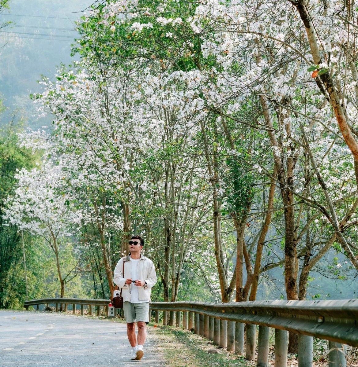 Mùa ban trắng Nà Sự – Vẻ đẹp tinh khôi chốn bản làng