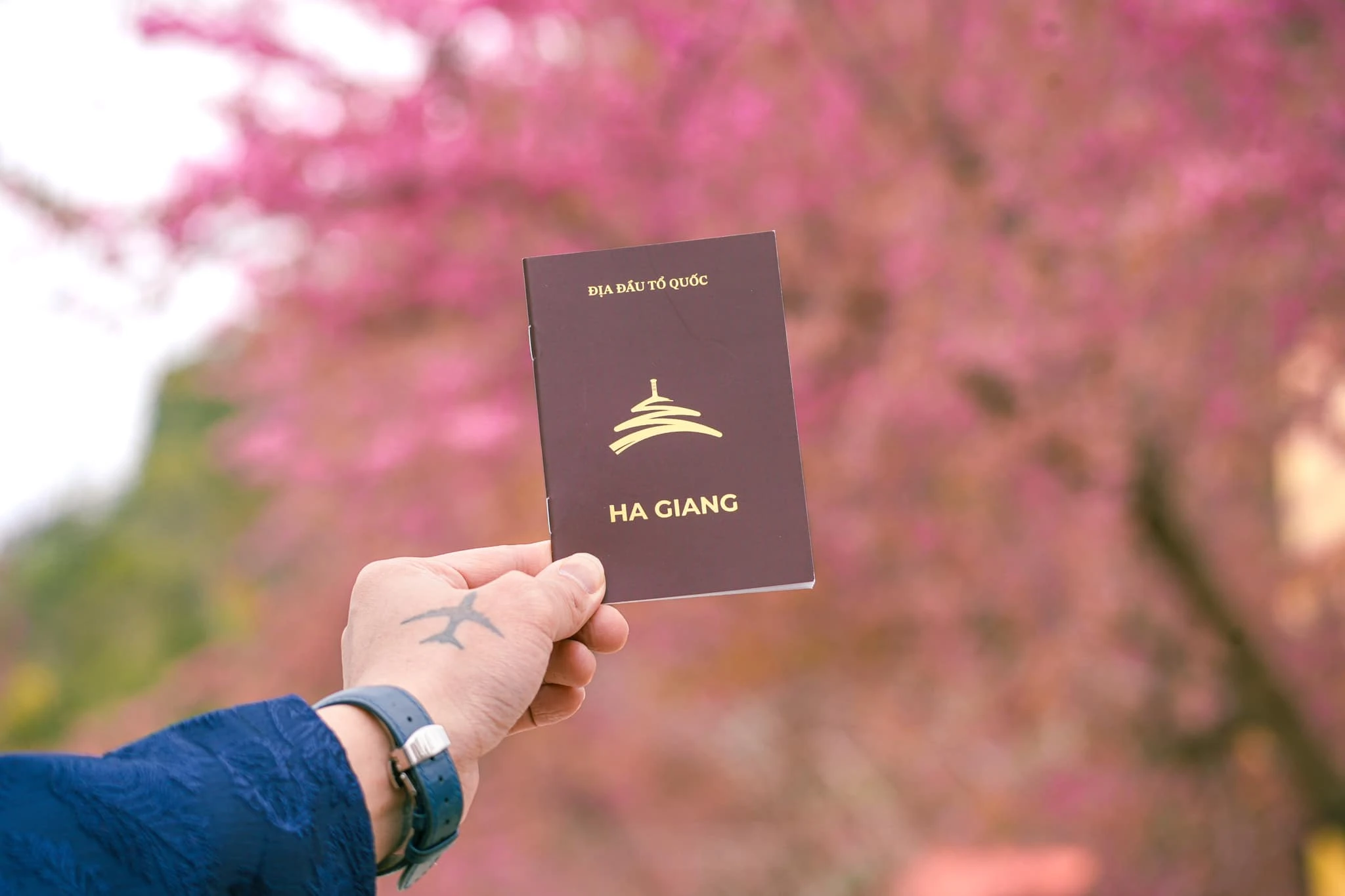 Hà Giang lot top ngắm hoa anh đào đẹp châu Á