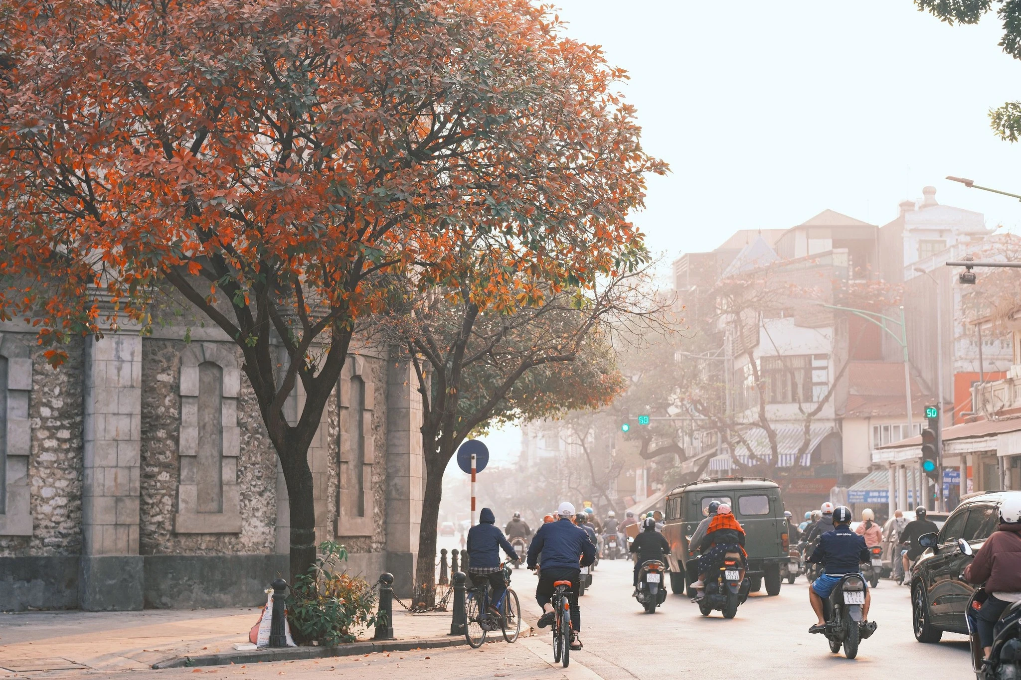 Hà Nội mùa thay lá đẹp tựa như xứ Hàn