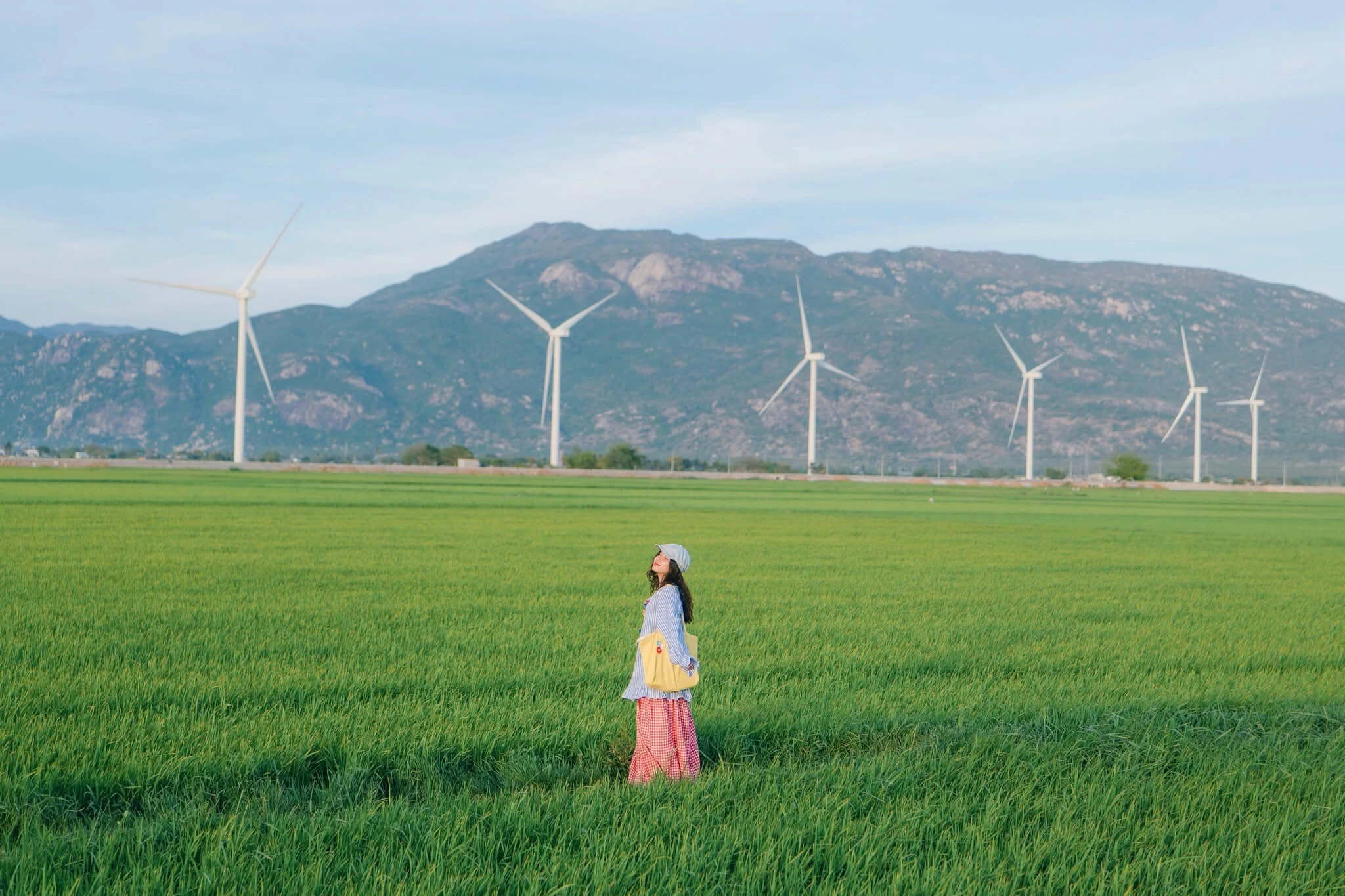 Say lòng trước vẻ đẹp bất tận của cánh đồng điện gió Đầm Nại