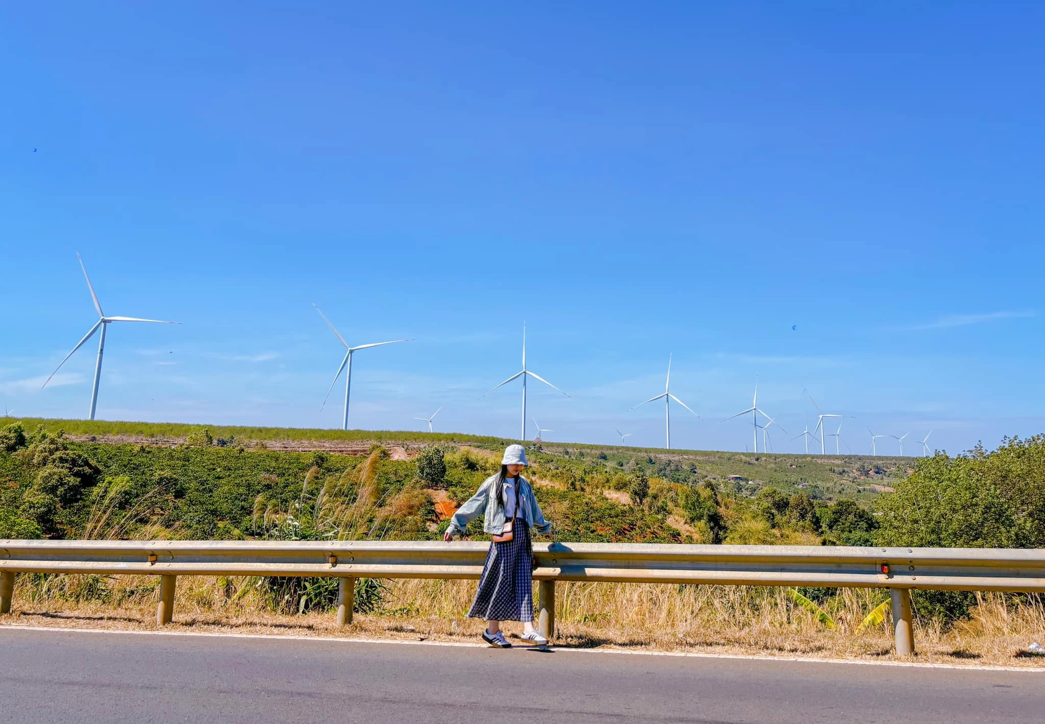 Đến Tây Nguyên ngắm mùa thay lá “trốn nồm” xứ Bắc