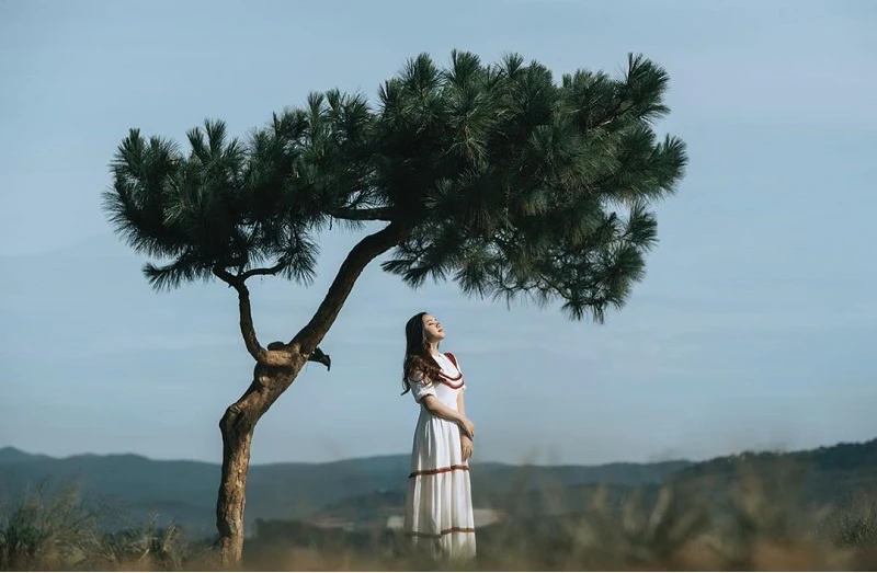 Đến Đà Lạt tìm yên bình, đừng bỏ qua 5 địa điểm này