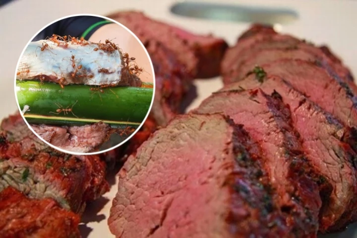 Về Tam Đảo ăn bò tái kiến đốt - Vừa sợ vừa mê