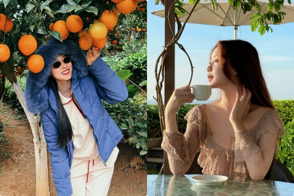 Hot face sao Việt: Diệp Bảo Ngọc chụp ảnh dưới cây cam trái sai lúc lỉu