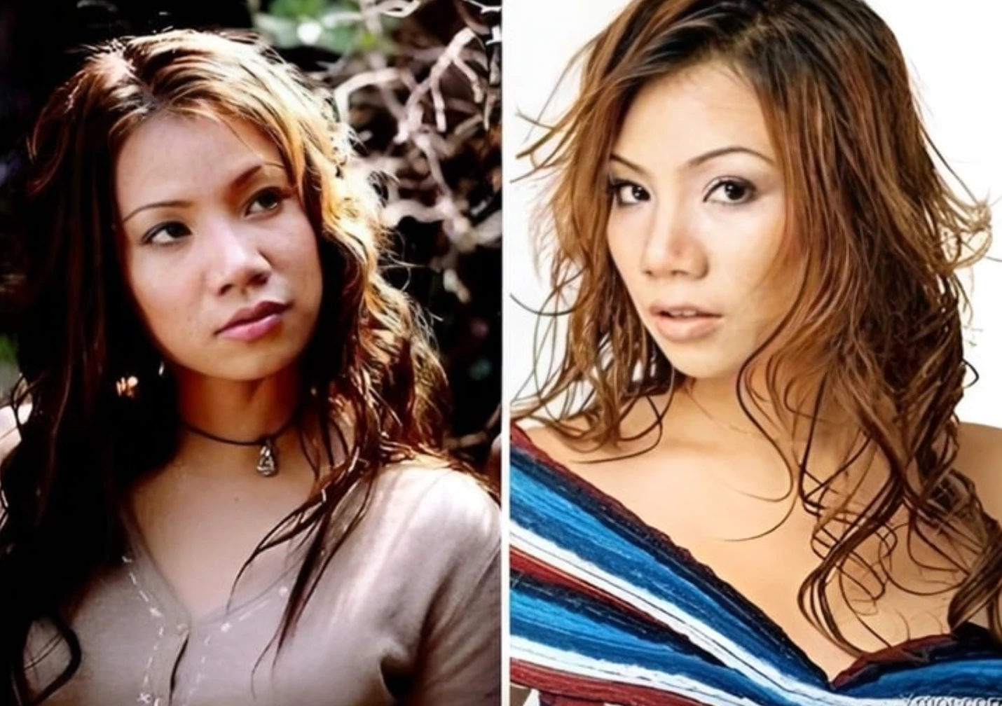 Nhìn lại nhan sắc "thăng trầm thẩm mỹ" của Hồ Quỳnh Hương