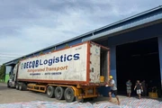 Nam Định phát hiện hơn 20 tấn nội tạng động vật bốc mùi