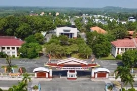 Hiệu quả kinh tế trong đấu thầu tại xã Dầu Tiếng: Cần nâng cao trách nhiệm giải trình [Kỳ 3]