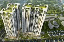 HU1 lãnh án phạt 210 triệu, cổ phiếu “rơi tự do” về đáy