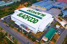 Antesco – “ông lớn” xuất khẩu nông sản ĐBSCL chuẩn bị niêm yết HoSE