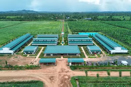 Thaco Agri: Lãi thấp, nợ cao, tổng tài sản vẫn áp đảo với hơn 67.000 tỷ đồng