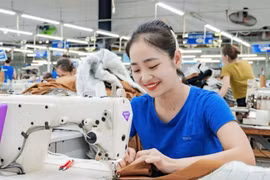 TNG lập đỉnh lợi nhuận quý 2, cổ phiếu tăng tốc