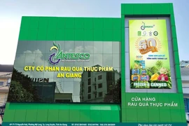 Antesco hoãn chia cổ tức, dồn lực lên sàn HoSE trong quý 4/2025