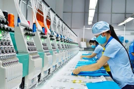 Garmex báo lỗ lũy kế gần 116 tỷ, chỉ còn 29 lao động