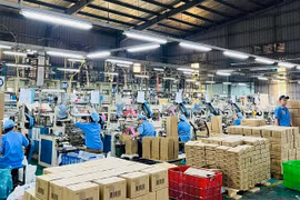 Tân binh ngành nhựa vừa báo lãi kỷ lục, đã muốn thử “sức nóng” trên HoSE