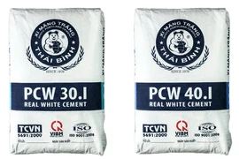 Xi măng Thái Bình - thương hiệu 45 năm tuổi đứng trước nguy cơ rời sàn