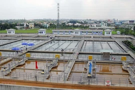 Saigon Water đối mặt nghi vấn BCTC, kiểm toán viên Grant Thornton bị đình chỉ