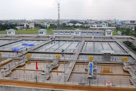 Saigon Water đối mặt nghi vấn BCTC, kiểm toán viên Grant Thornton bị đình chỉ
