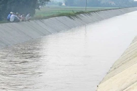 Gói bảo dưỡng đê điều 7 tỷ tại Tây Ninh: Nhà thầu ngoại tỉnh liệu có cơ hội?