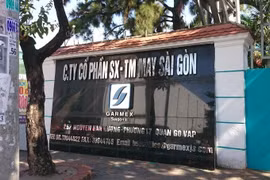 Từ đỉnh cao nghìn tỷ đến vực thẳm thua lỗ, Garmex phải tự bán đất cứu mình