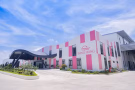 May Sông Hồng báo lãi kỷ lục quý 2, vượt 180 tỷ đồng