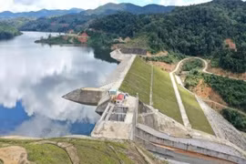 VSH bị xử lý về thuế hơn 2,2 tỷ đồng