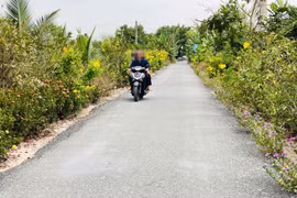 Chân dung công ty Vũ Nam và những dự án công tại Long An