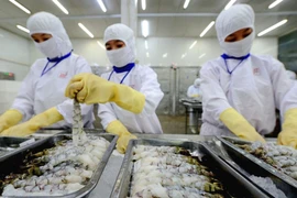 FMC lãi mỏng do trích dự phòng rủi ro thuế từ Mỹ