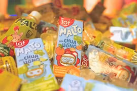 IDP bổ nhiệm CEO mới giữa lúc báo lỗ quý đầu tiên lịch sử