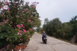 Trương Hồng An - Minh Khôi Mỹ Quý: “Hệ sinh thái” độc quyền tại Đức Huệ?