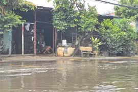 TP HCM: 2 nhà thầu cạnh tranh gói bảo dưỡng hạ tầng giao thông tại xã Nhị Bình