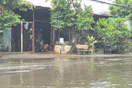 TP HCM: 2 nhà thầu cạnh tranh gói bảo dưỡng hạ tầng giao thông tại xã Nhị Bình