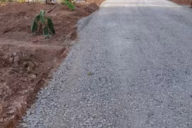 Hồ sơ đấu thầu 2025 của Sơn Hoàng Quân: Trúng thầu tuyệt đối, tiết kiệm "nhỏ giọt"[Kỳ 2]