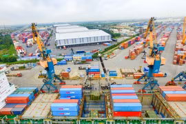 DN sở hữu đội tàu lớn nhất Việt Nam nâng mục tiêu lợi nhuận năm vượt 1.100 tỷ