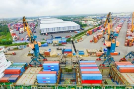 DN sở hữu đội tàu lớn nhất Việt Nam nâng mục tiêu lợi nhuận năm vượt 1.100 tỷ