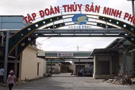 “Vua tôm” Minh Phú đầu tư 100.000 USD lập công ty con ở Úc