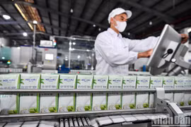 Mộc Châu Milk lãi giảm vẫn mạnh tay chi cổ tức 110 tỷ đồng