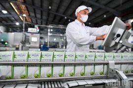 Mộc Châu Milk lãi giảm vẫn mạnh tay chi cổ tức 110 tỷ đồng