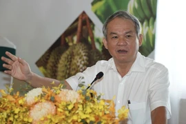 HAGL xóa lỗ gần 7.500 tỷ nhưng vẫn bị kiểm toán nghi ngờ hoạt động