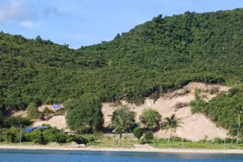 Xây dựng 43 đảm nhận xây mới hai cống thủy lợi tại An Thới Đông