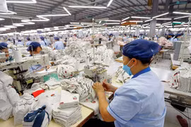 TCM lãi gần 139 tỷ sau 5 tháng, đã nhận 80% đơn hàng quý 3