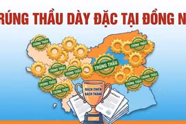 "Hệ sinh thái" nhà thầu Thành Kiên: Trúng thầu dày đặc, "bách chiến bách thắng" tại Đồng Nai [Kỳ 2]