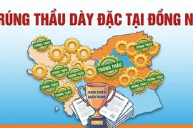 "Hệ sinh thái" nhà thầu Thành Kiên: Trúng thầu dày đặc, "bách chiến bách thắng" tại Đồng Nai [Kỳ 2]