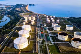 Lọc hóa dầu Bình Sơn nhận cảnh cáo vì chậm nộp hồ sơ thuế