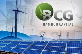 BCG và TCD kéo dài vi phạm công bố báo cáo tài chính, bị HoSE cảnh báo