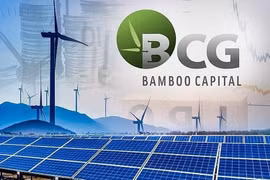 BCG và TCD kéo dài vi phạm công bố báo cáo tài chính, bị HoSE cảnh báo